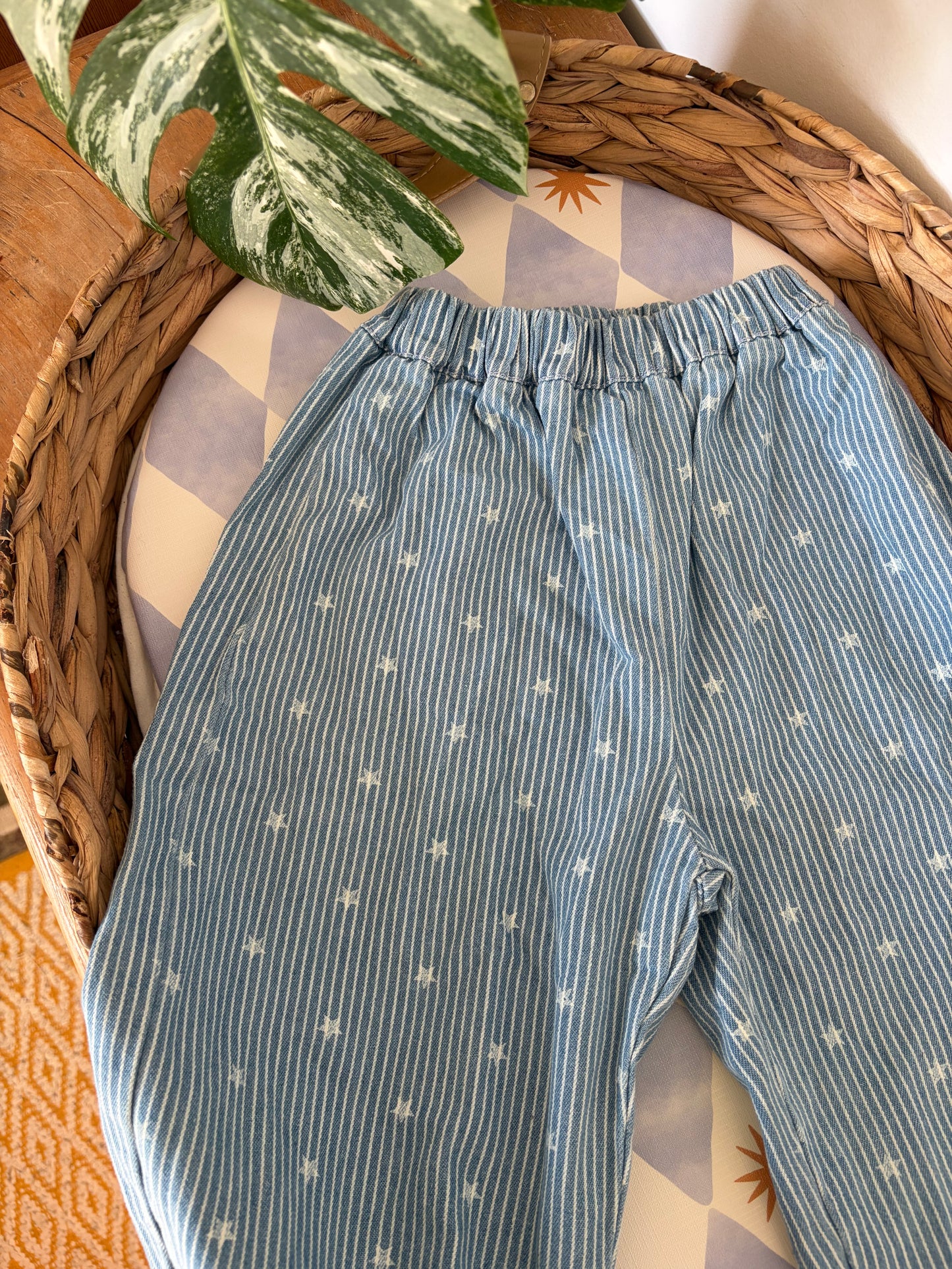 Stars and Stripes Trousers