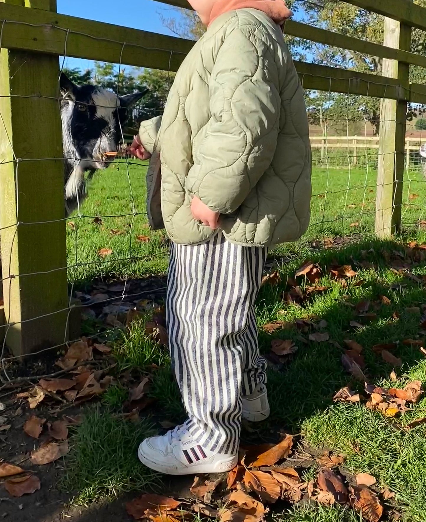 Striped Wide Leg Trousers