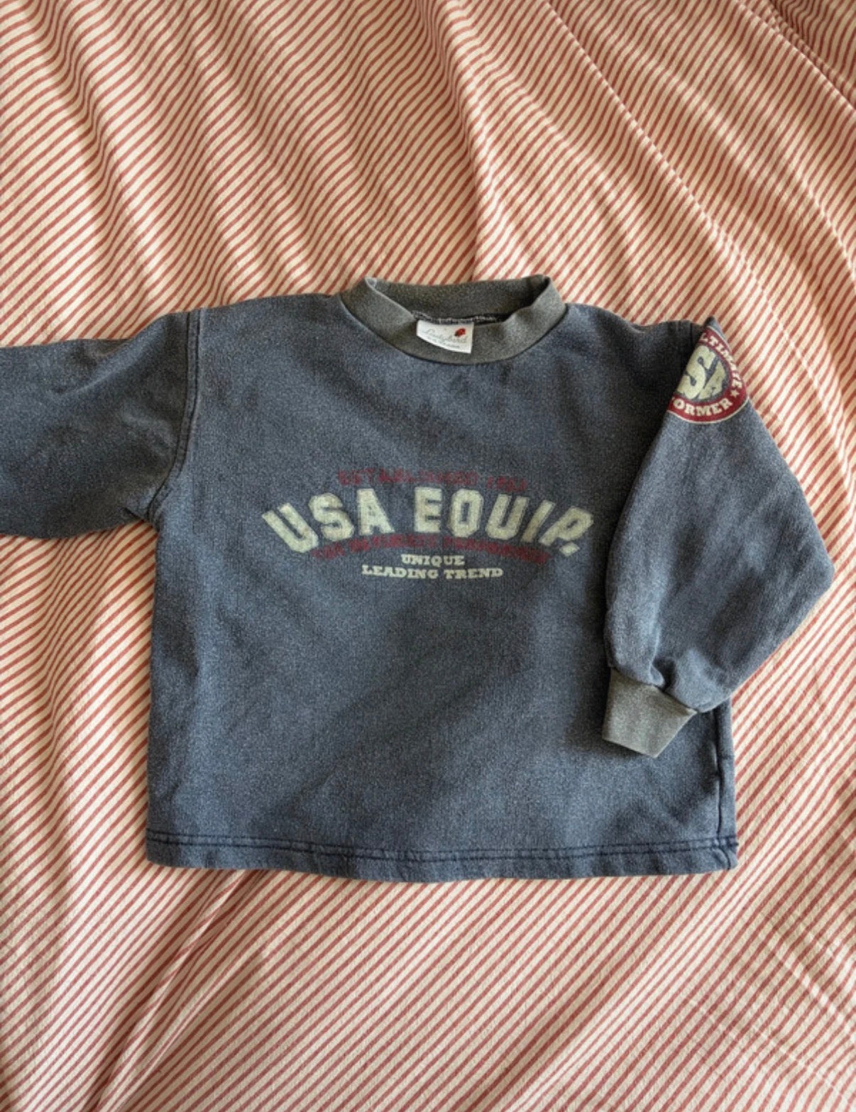 Vintage Ladybird Jumper