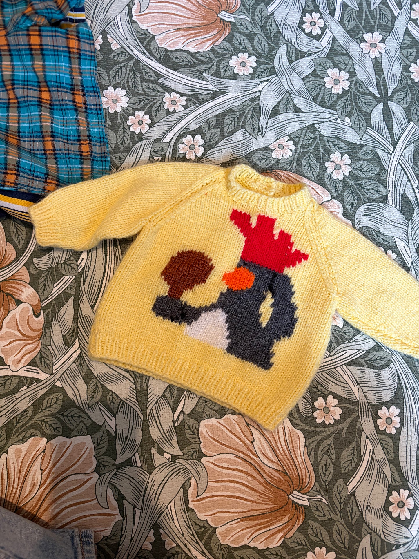 Wallace & Gromit Knit 0-3 Months